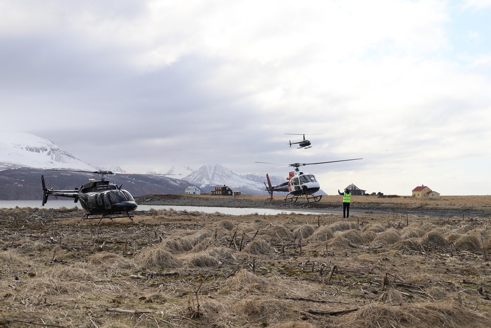 Helicopters to Flatey Island, Husavik Iceland