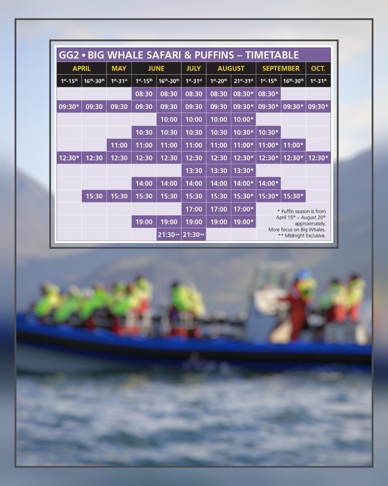 SA_timetable RIB.jpg
