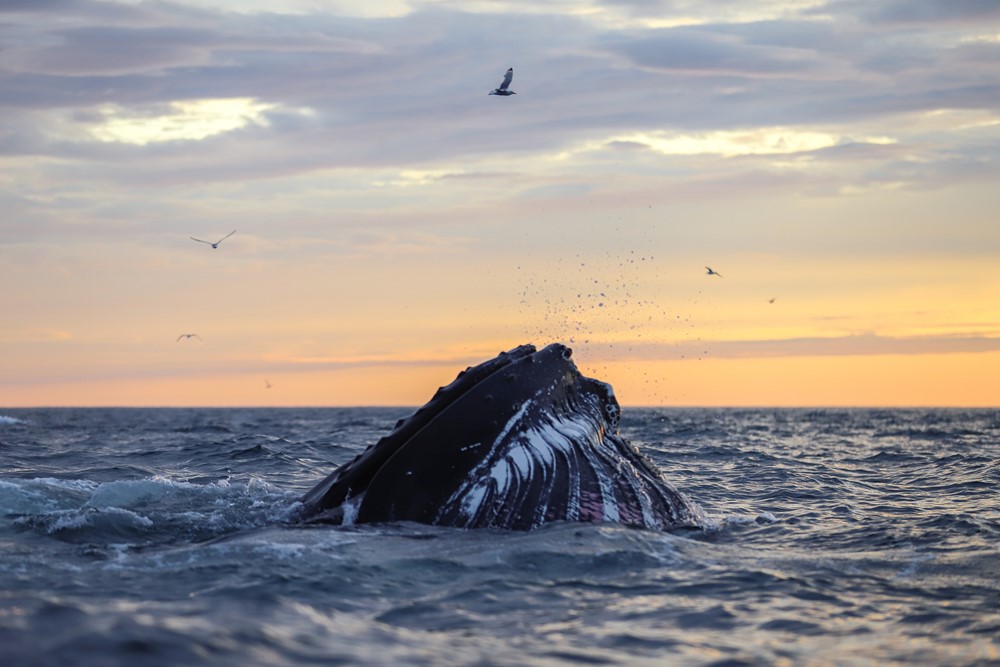 SA_why it matters 3.jpg