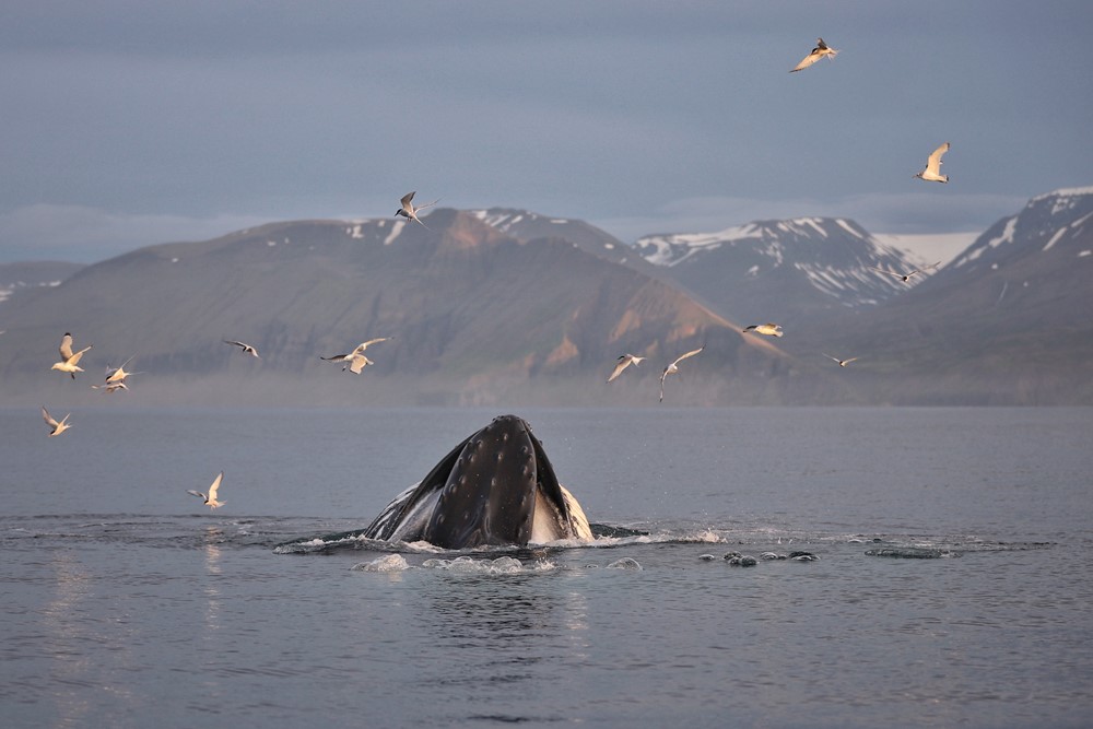 SA_why it matters 4.jpeg