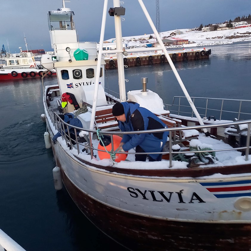 Whale watching oak boat Sylvia leaving Husavik harbour for maintenance journey