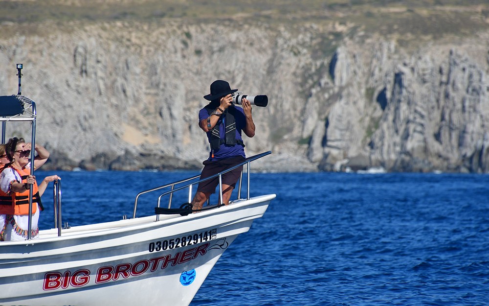 Gentle Giants passionate guides working whale watching all over the world, from Husavik Iceland