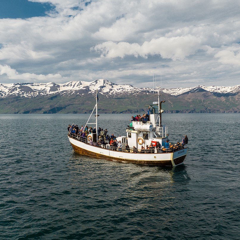Eco-friendly whale watching boat Husavik Iceland Sylvía silent whale watching
