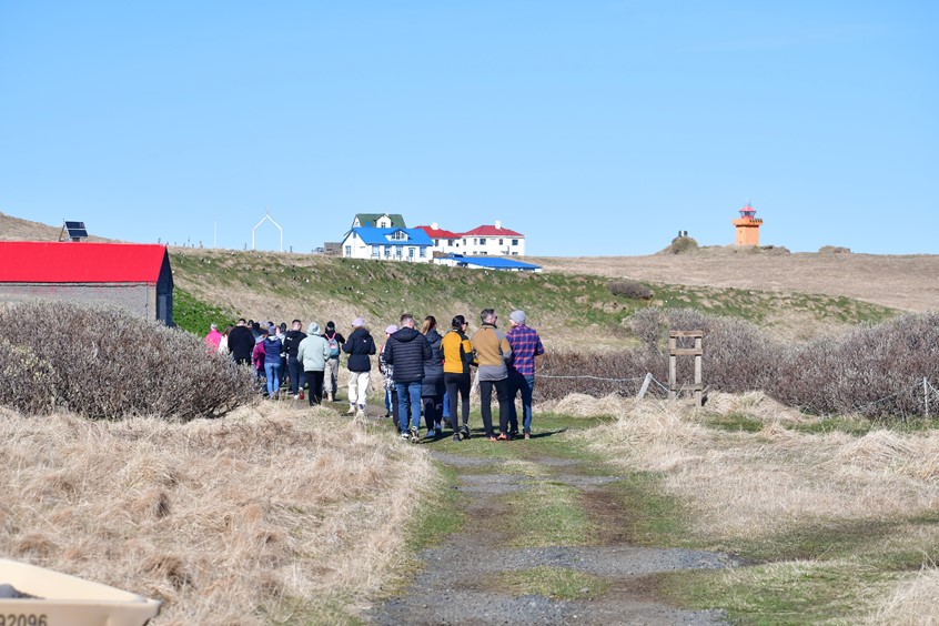 Hiking in Flatey Island with Gentle Giants