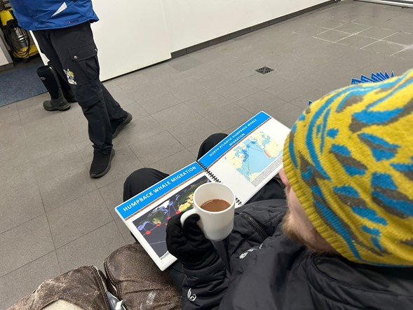 whale talks and hot chocolate