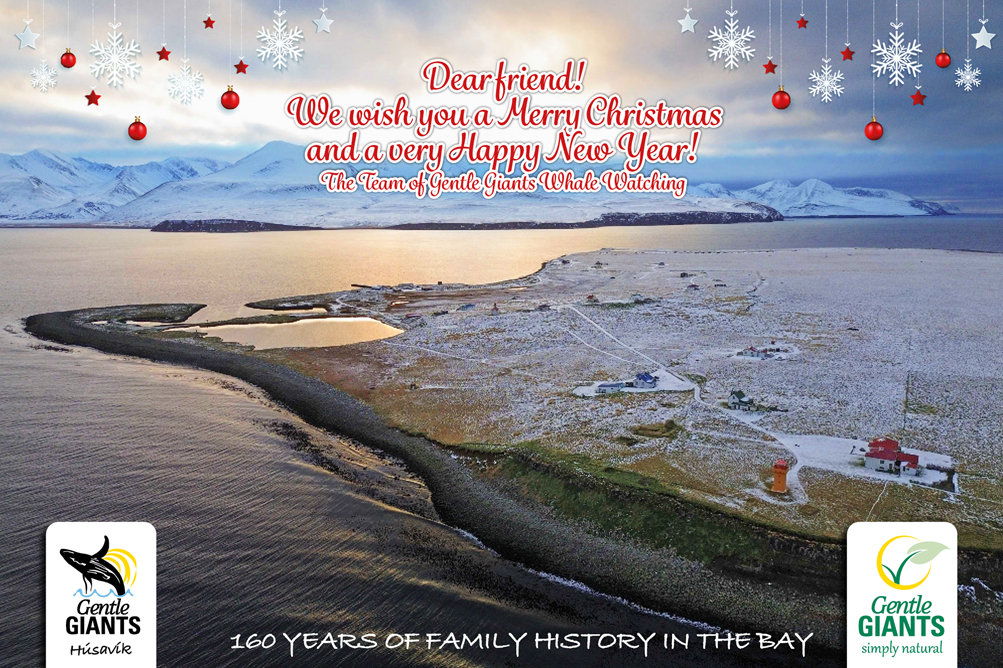 Christmas Greeting from Gentle Giants Whale Watching, Husavik, Iceland
