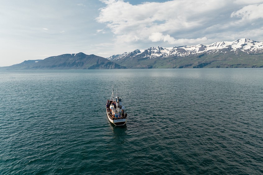 Searching for whales on board Sylvia, eco-friendly boat from Husavik, Iceland