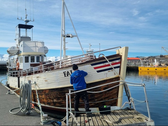 working on oak boat Faldur