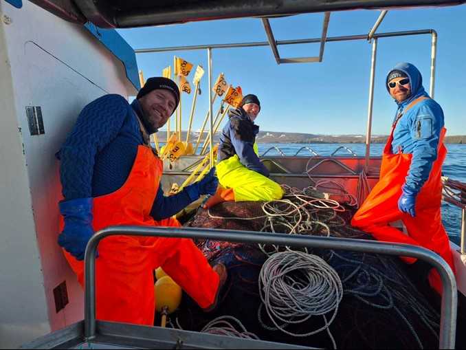 The lumpfish team at sea