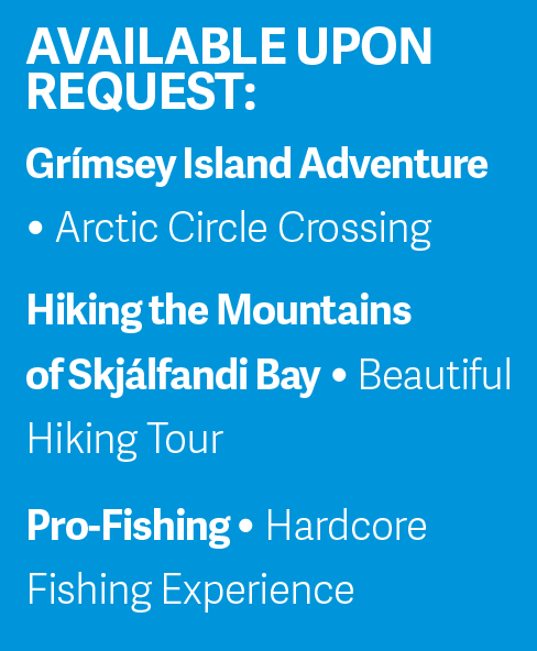 Tailor Made Tours Húsavík Iceland Gentle Giants Whale Watching
