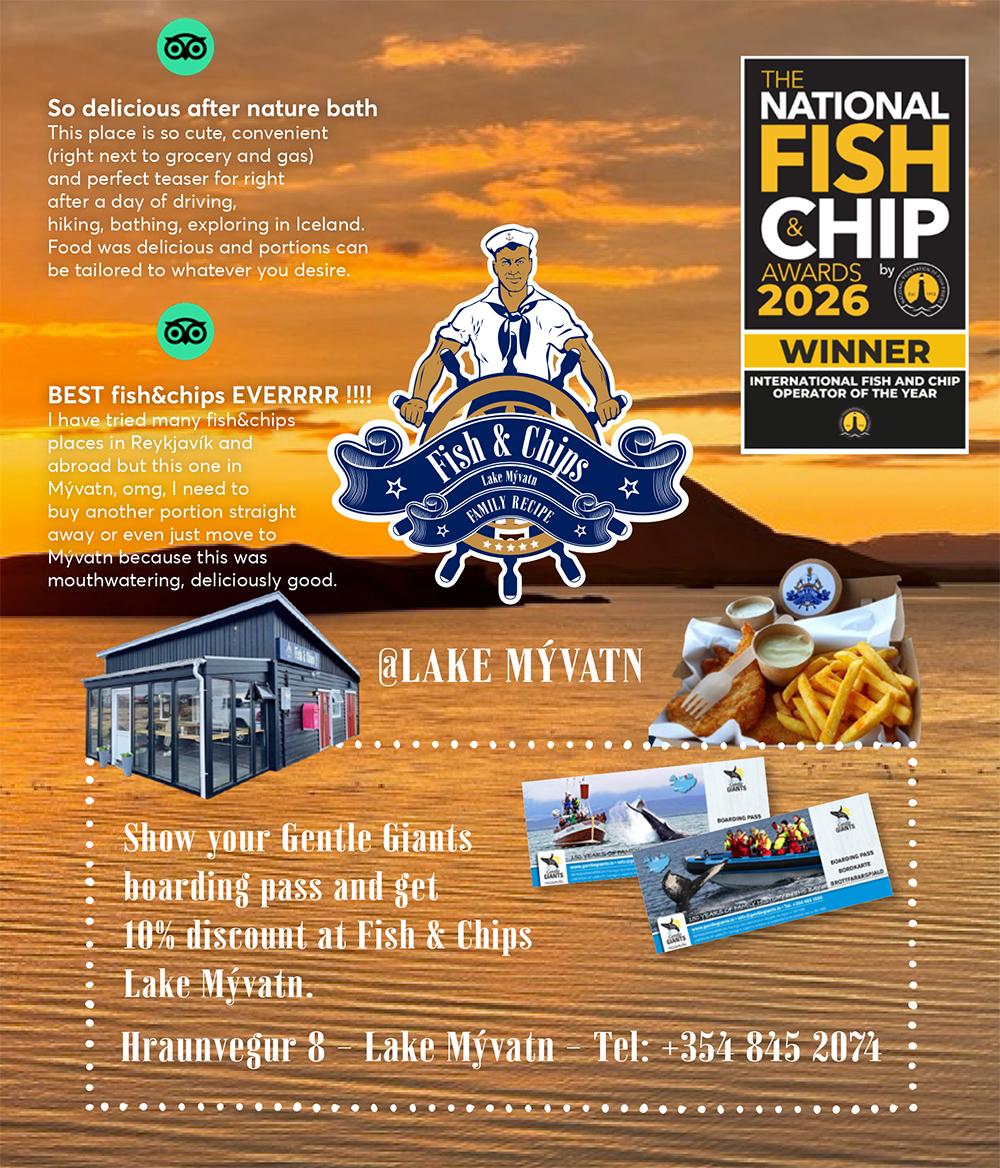 Discount at the award-winning Fish and Chips in Lake Mývatn, North Iceland