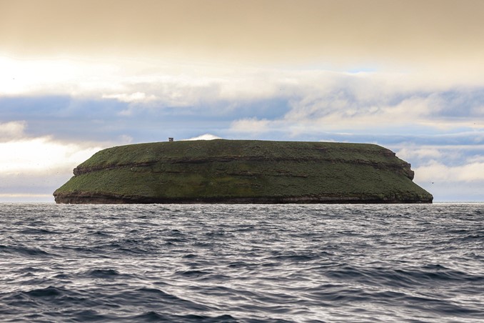 puffin island