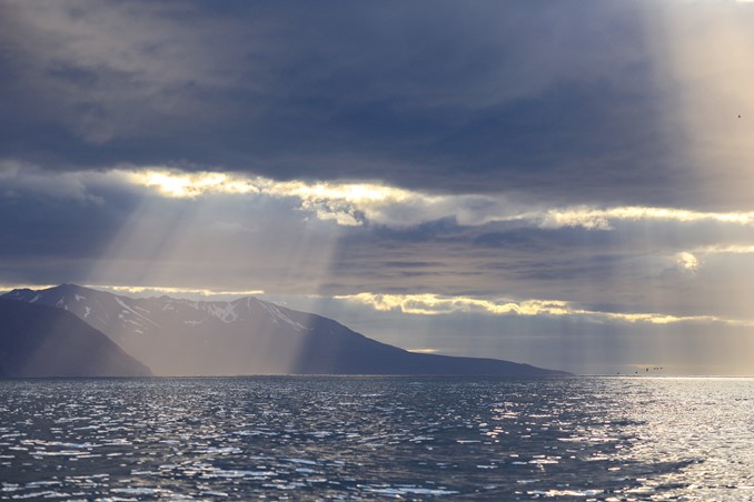 Cheek Mountains