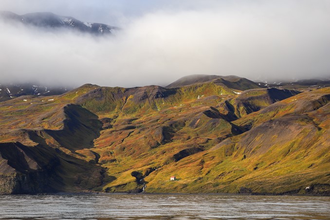 Cheek Mountains