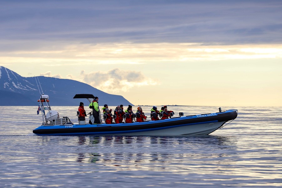 RIB speedboat sunset