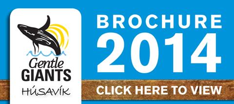 Take a look at our brochure and get inspired!