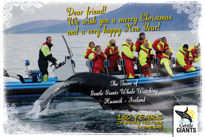 HAPPY HOLIDAYS