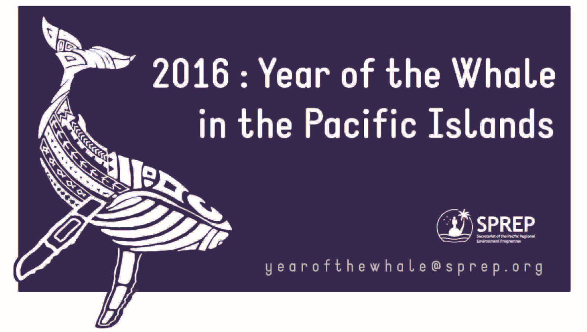 Year of the whale