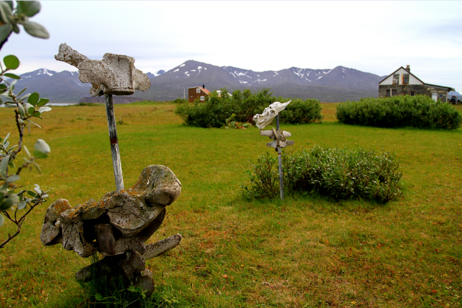 Miro_StaffTrip2