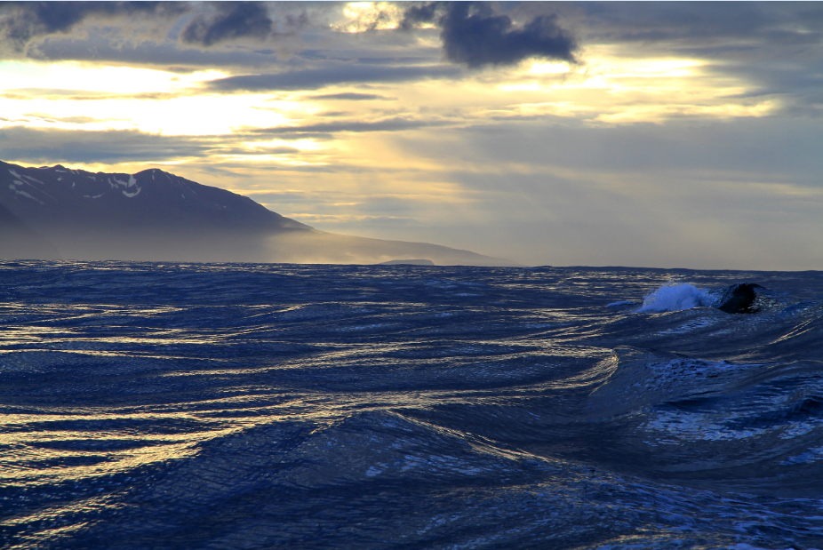 SA_wavy sea in evening