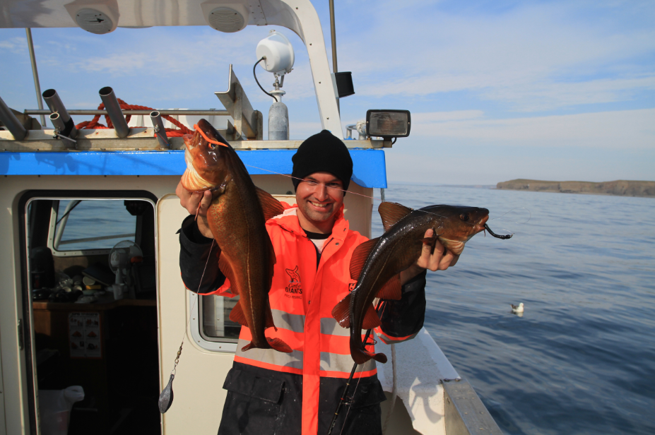 Miro_SeaAngling2_small