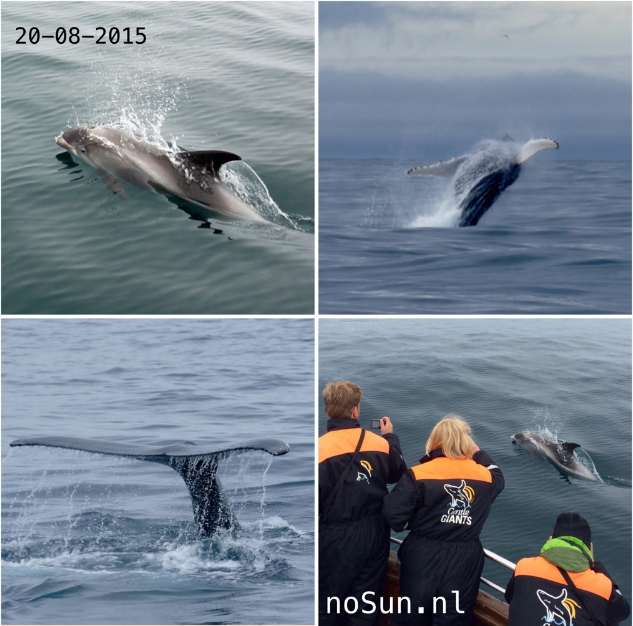 noSun travel