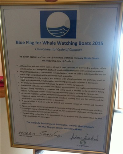 blueflag
