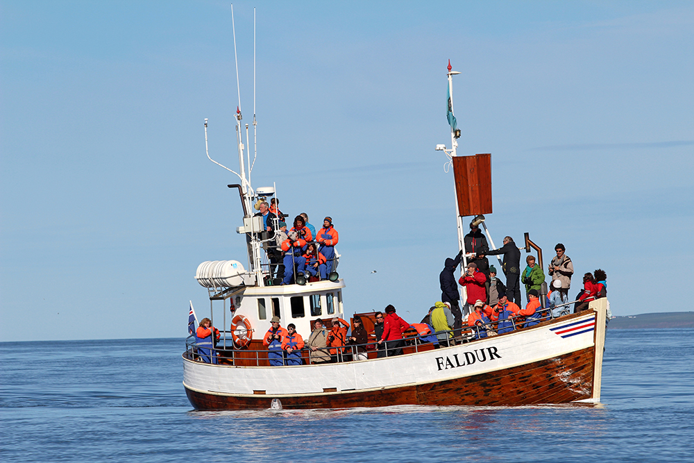 Húsavík Whale Watching Boat - Faldur