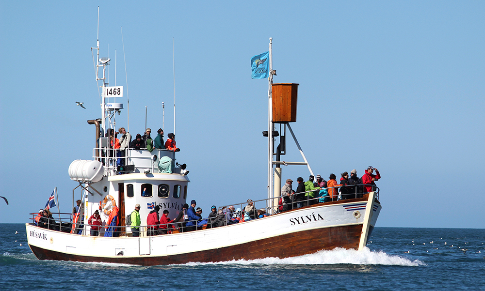 Húsavík Whale Watching Boat - Sylvía