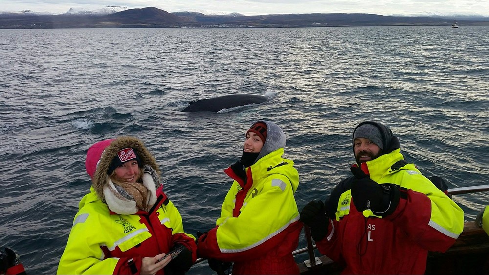 MC_Happy Passengers1.jpg