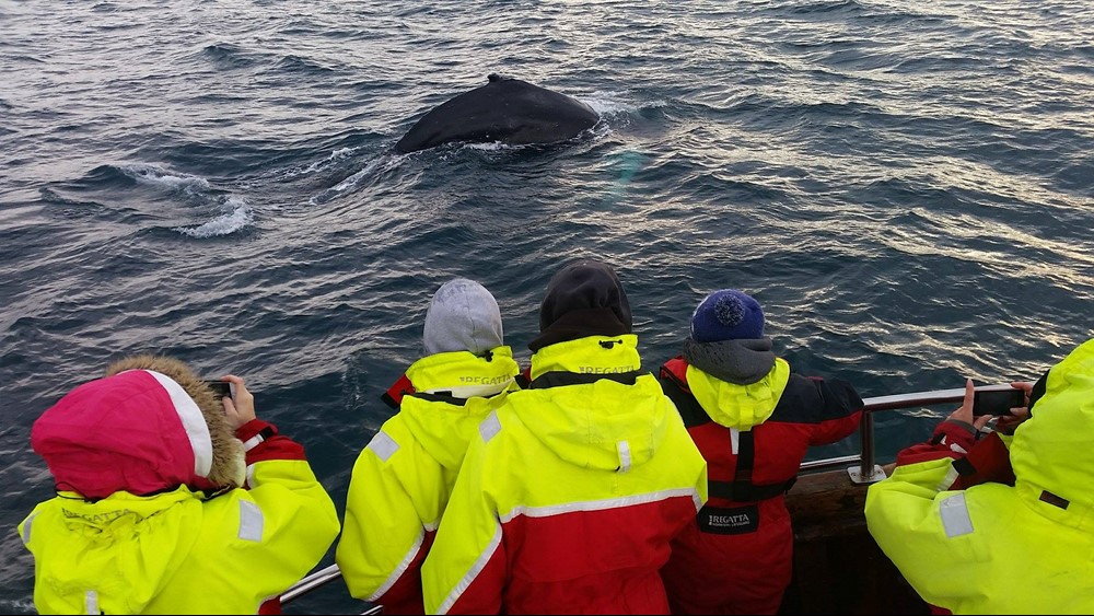 MC_Happy Passengers2.jpg