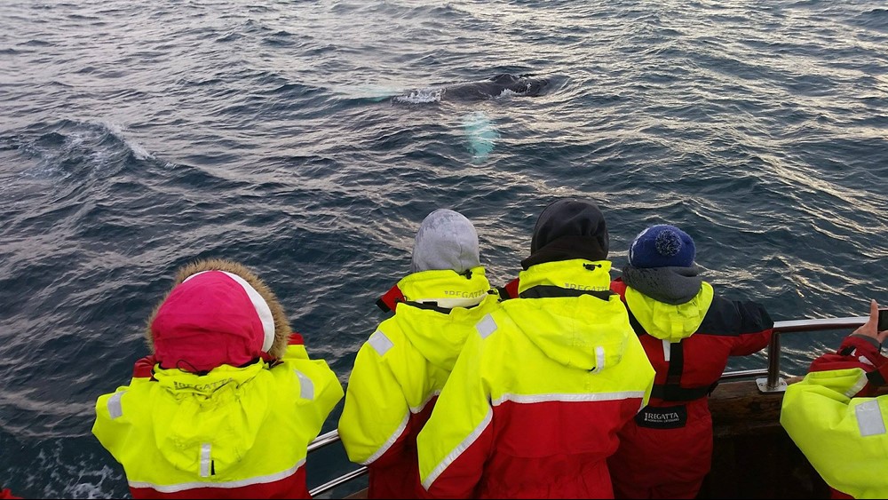 MC_Happy Passengers4.jpg