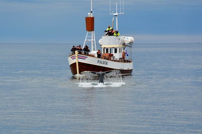 Tobias von Werne (customer).jpg