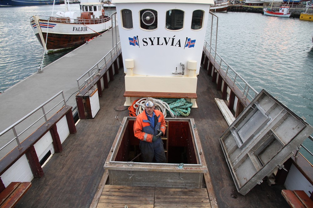 Sylvía makeover2.JPG