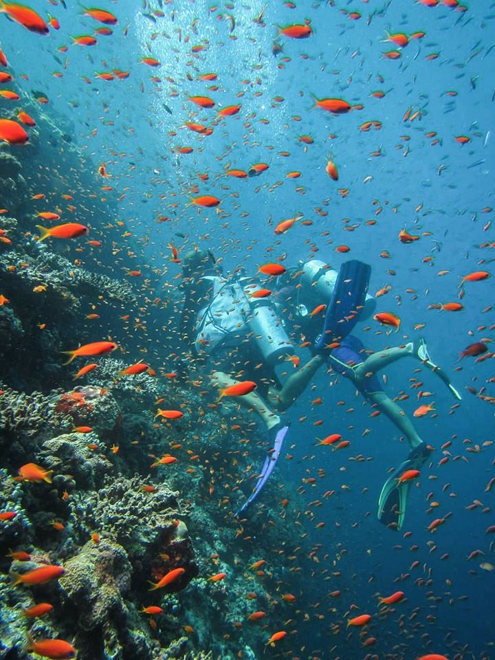 Sarah Maldives Diving Trip