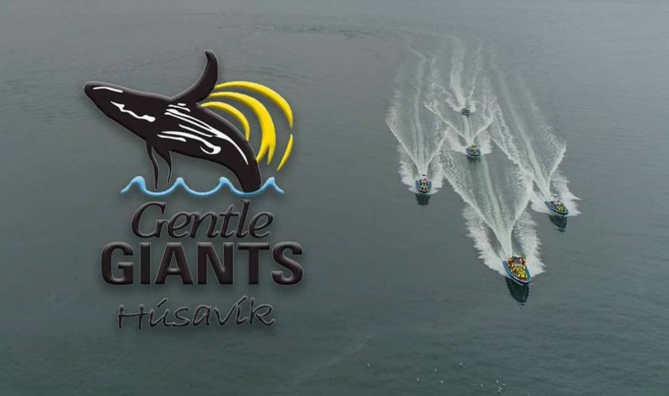 Benedikt Sigurgeirsson Aerial Footage RIBs.jpg