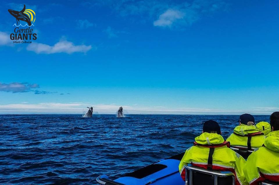 MC_double breach.jpg