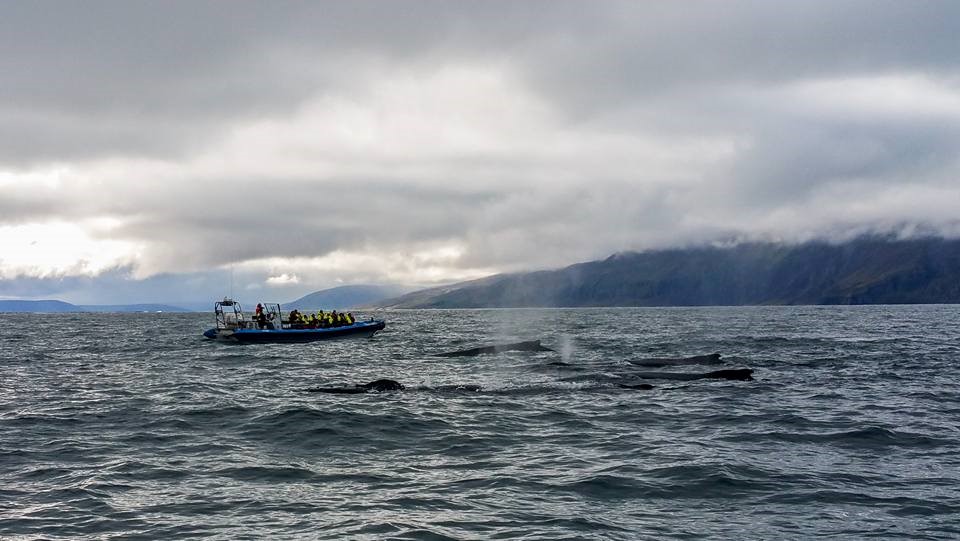 SA_Social Beings 1.jpg