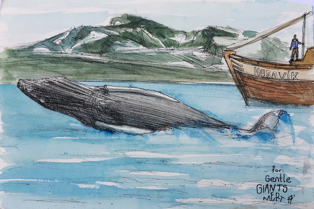 Mert Gültekin's drawing for Gentle Giants