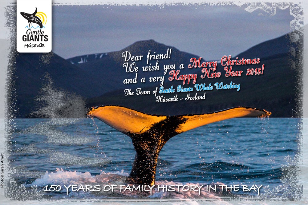 Gentle Giants Whale Watching in Húsavík Husavik Iceland wishes Merry Christmas and a Happy New Year 2017