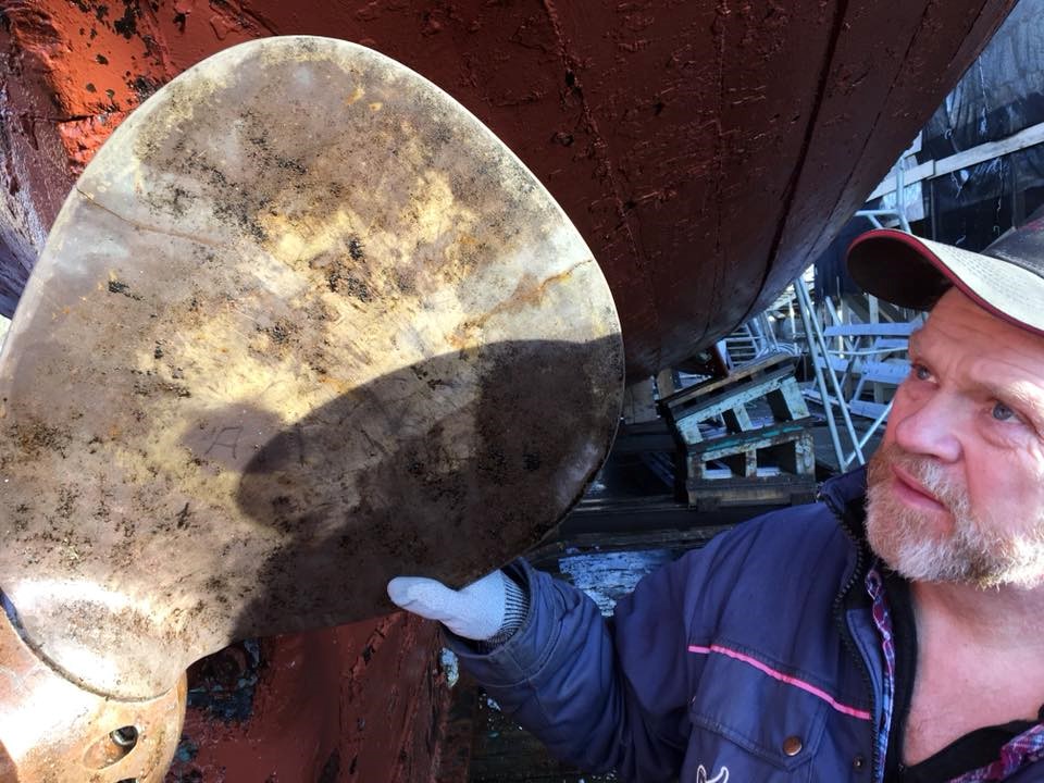 Gentle Giants Whale Watching Sylvía Oak Boat Húsavík Iceland