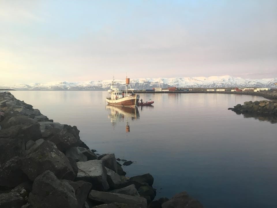 Gentle Giants Whale Watching Sylvía Oak Boat Húsavík Iceland