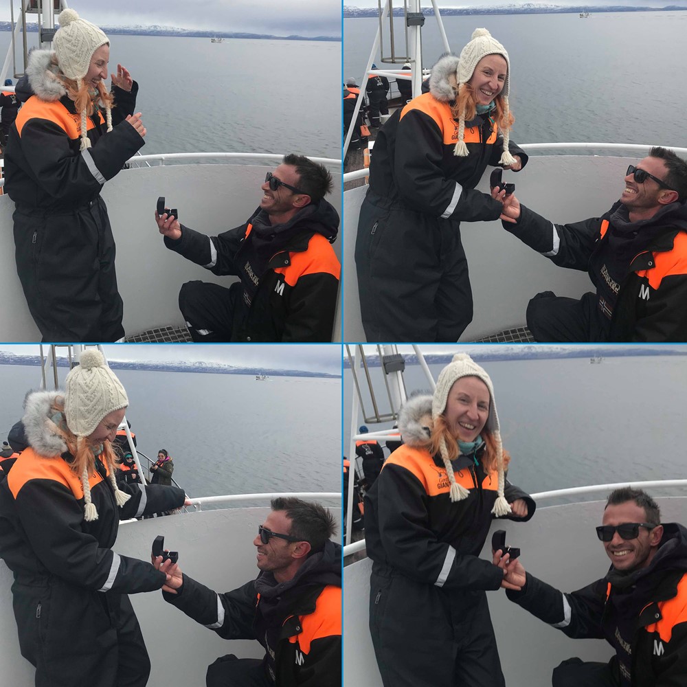 Gentle Giants Whale Watching, Húsavík, Engagement, Iceland