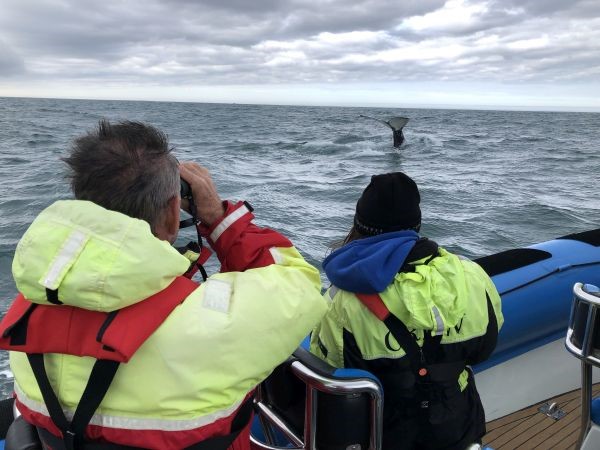 nigelmarven-cb2.jpg (1)