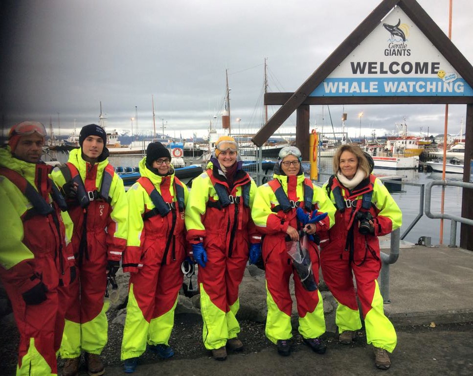 Promote Iceland on a GG2 Big Whale Safari Húsavík, Iceland