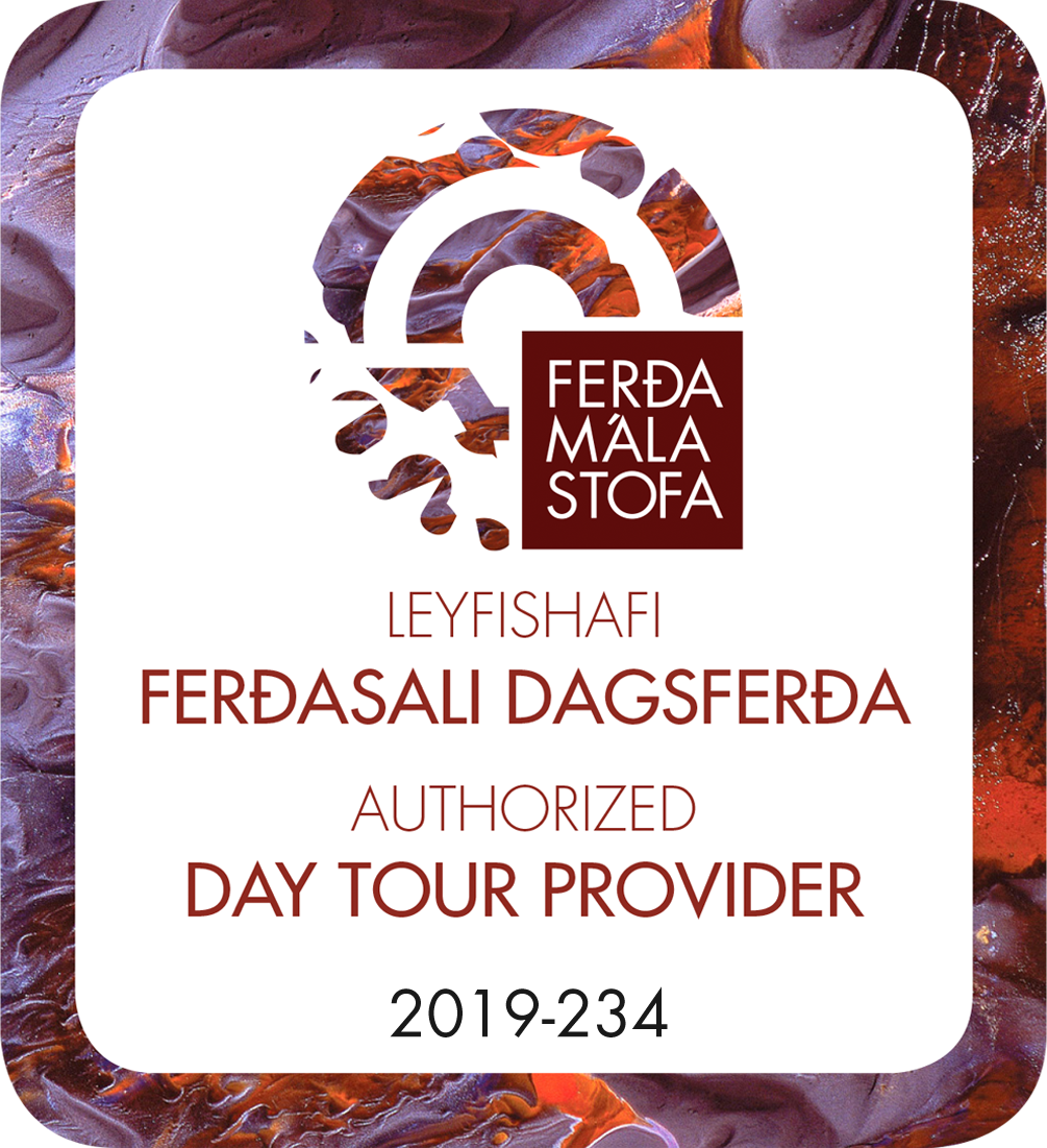 Ferðamálastofa Logo 2019 ferðasali dagsferða.png