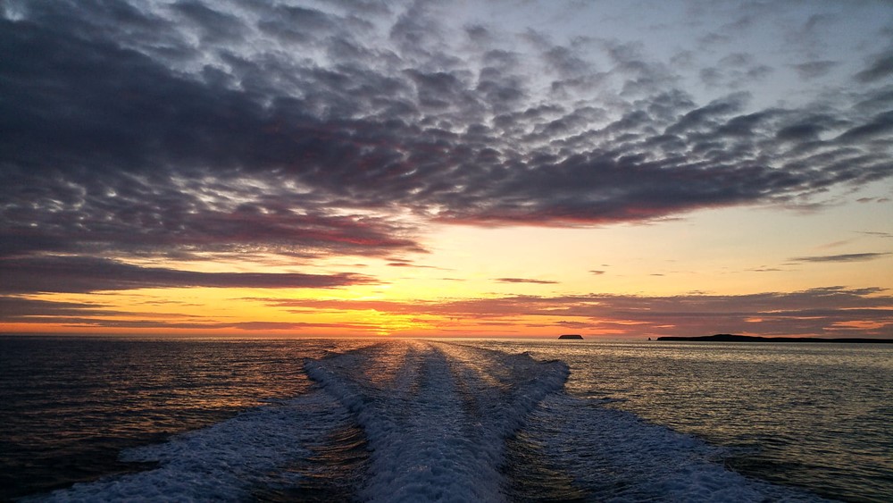 SA_beautiful Skjalfandi Bay 4.jpg