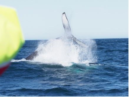 Christel Loman_blog1.JPG