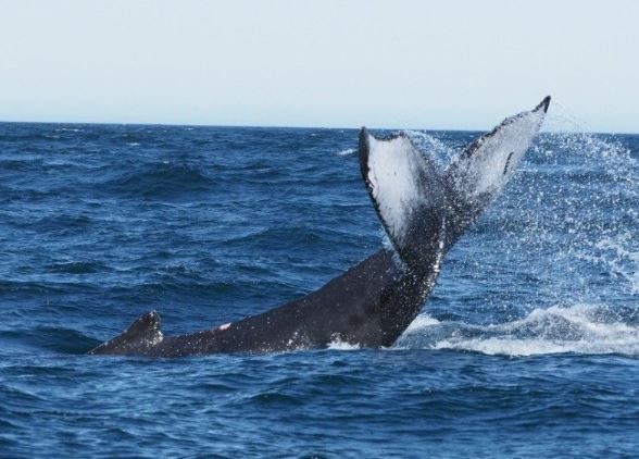 Christel Loman_blog2.JPG