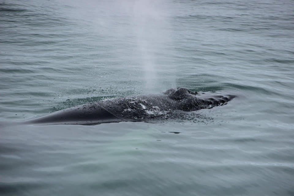 SA_last daay of October2.jpg